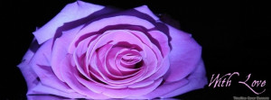 Purple roses timeline cover, Roses timeline cover banner