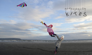 Flying Kites Quotes