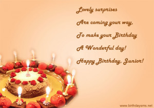 Little Brother Birthday Quotes