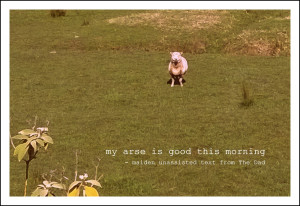 100 days of Un-Inspirational Quotes