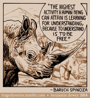 Spinoza: The highest activity a human being can attain is learning for ...