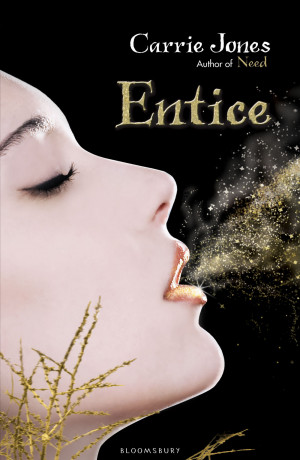 Entice by Carrie Jones Review