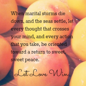 just heard this silly rumor that some couples don’t fight. It’s ...