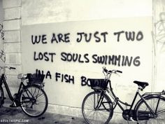 two lost souls life quotes quotes graffiti song lyrics pink floyd