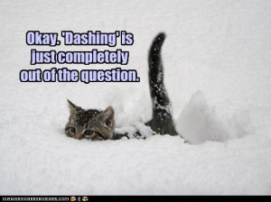 Here are more snow-inspired creations: