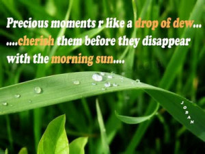 with morning sun....