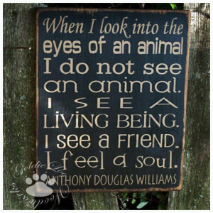 ... animal. I see a living being, I see a friend, I feel a soul. ~ Anthony