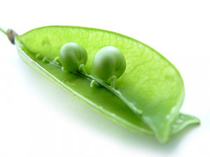 Well what did you expect?