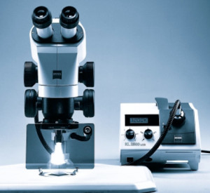 Im genes del producto Microscopios estereosc picos e invertidos