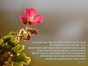 Displaying 19> Images For - Love Quotes For A Girl You Like...