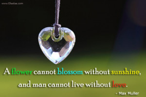 Love Thoughts-Quotes-Max Muller-Flower-Blossom-Sunshine-Best Quotes