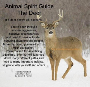 Animal Spirit Guide : The Deer: Spirit Animal, Animal Medicine, Animal ...