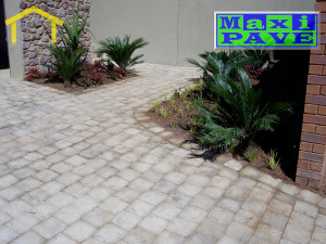 YOU ARE HERE: Paving in Pretoria