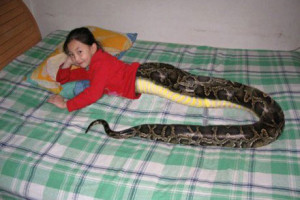 Snake Girl Hoax