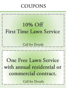 WE ACCEPT PAYMENTS ONLINE FOR YOUR CONVENIENCE