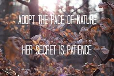 Adopt The Pace Of Nature Her Secret Is Patience.