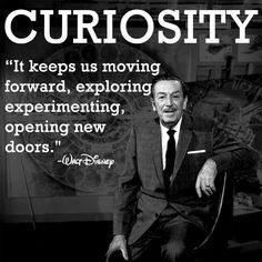 Quotes on Curiosity