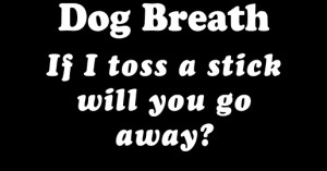 Funny One-line Insult Quotes