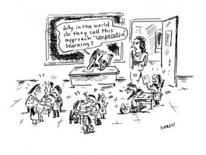 Cooperative Learning Groups