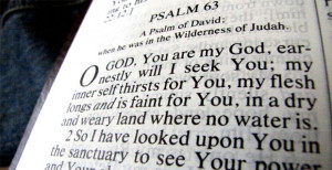 Bible Verses | Download