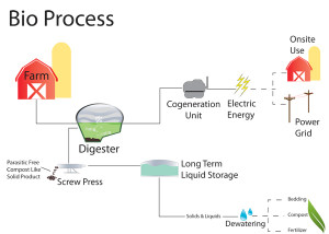 Biogas Energy – Bio Fuels Provide Renewable Energy