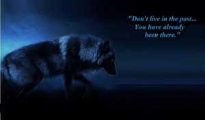 of wolves - friendship, white, grey wolf, wild animal black, quotes ...