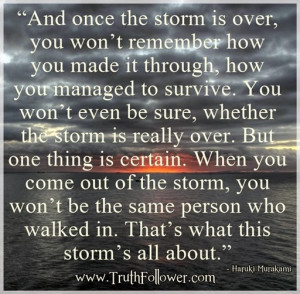 once the storm is over, Storms Quotes by famous authors