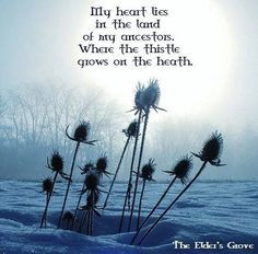 Scottish Quotes & Sayings