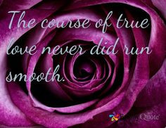... ralph waldo emerson, shower curtains, shakespeare quotes, purple roses