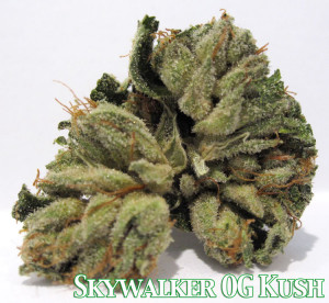Related Pictures medical kush popcorn kush pics bubba kush pictures
