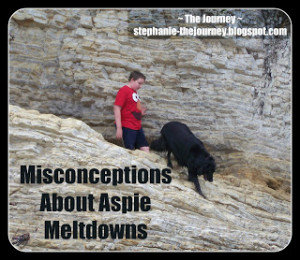Misconceptions+About+Aspie+Meltdowns.jpg
