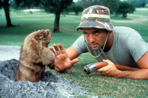 BILL-MURRAY-QUOTES-GOPHER-CADDYSHACK-facebook.jpg