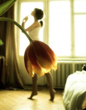 ballet, flower, girl, tulip, tutu