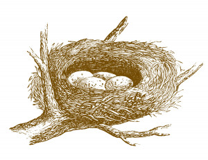 Empty Nest Clipart Free vintage images nest eggs