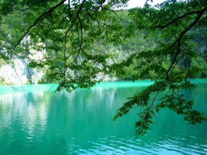 nature tropical serene Clear Blue Water