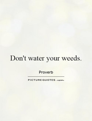 Weed Quotes Water Quotes Proverb Quotes