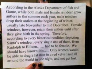 Reindeer must be female funny quote