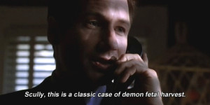 The X-Files in 2 gifs