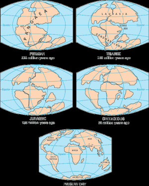 Physical world maps -Continents drift world maps - Continents model ...