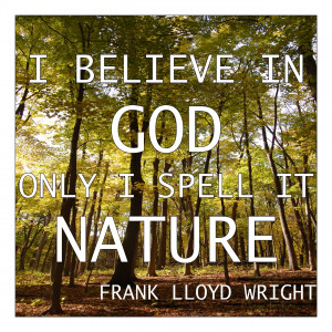 Wordless Wednesday - Frank Lloyd Wright Quote