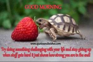 Morning quotes for colleagues, Good morning wishes for office and work ...