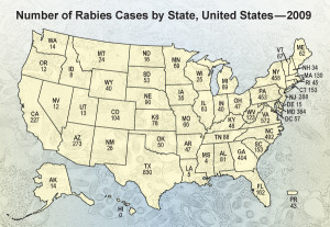 Rabies Symptoms Humans Cdc Gif