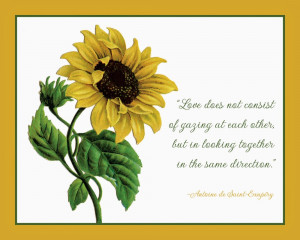 In love with Sunflower and Sunflower quotes and sayings!