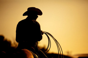 High risk SEO strategies used by cowboys