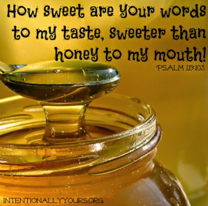 It's Winter, so bee hives are hard to find right now, but there is ...