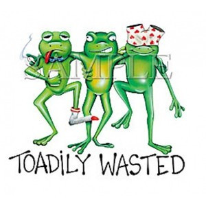 Toadily Wasted - Humorous and Funny - keywords: frog, toad, humor ...