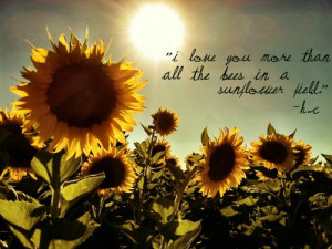 Quotes About Love And Sunflowers. QuotesGram