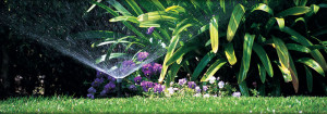 Lawn Irrigation System Design