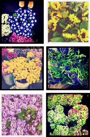 Today I went to the flower mart, with my mama.