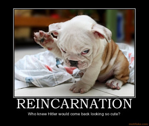 funny reincarnation
